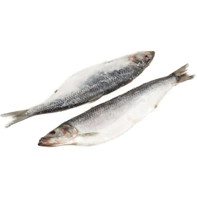 Сельдь с/м*20 300+