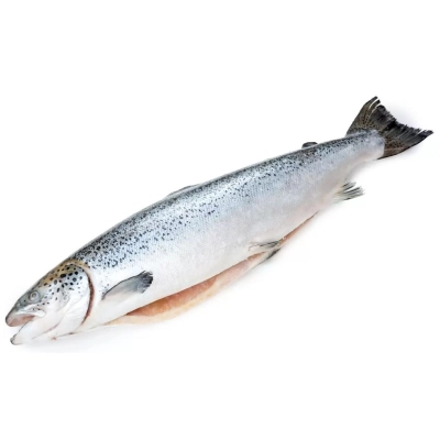 Семга Премиум Чили с/м