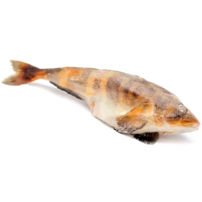 Терпуг с/м *18