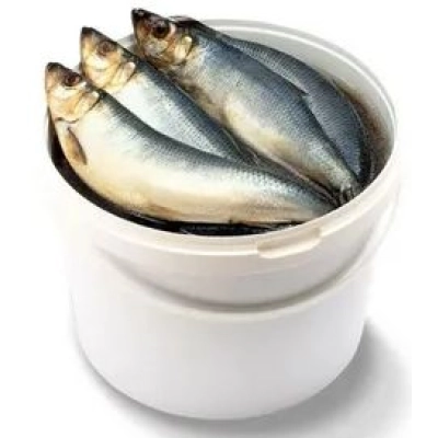 Сельдь с/с 450+ ведро Курган 1*5 Круглое